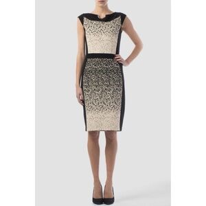 Joseph Ribkoff Sheath Dress 4 Speckle Ombre Pencil Cocktail Career Office Work